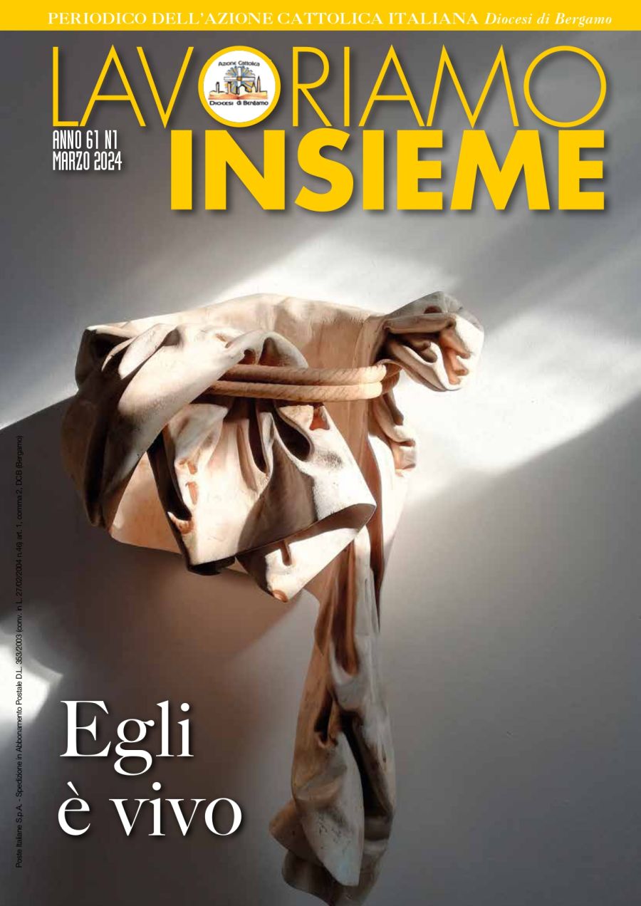 Lavoriamo Insieme - Periodico dell'Azione Cattolica di Bergamo