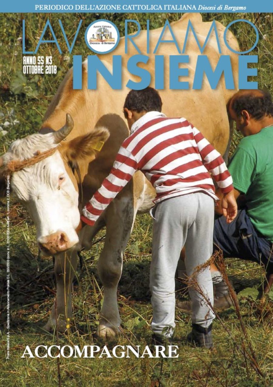 Accompagnare
