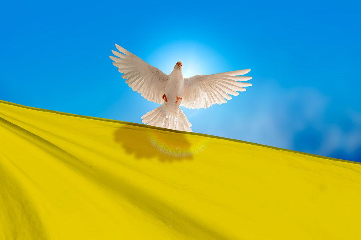 Ricuciamo la pace…